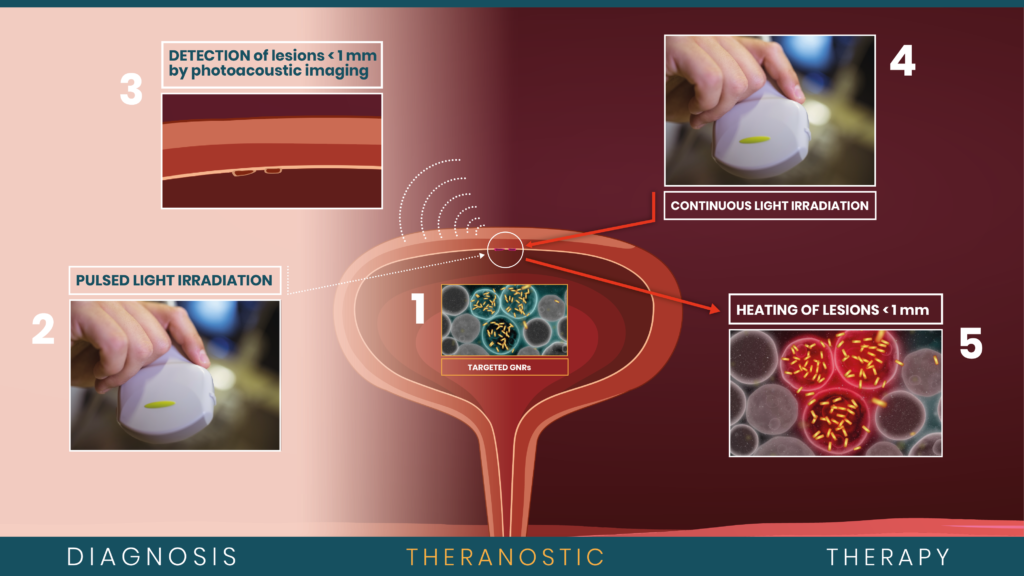 PHIRE solution - Diagnostic and Therapy